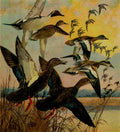 Bogue Hunt Game birds 1917 Pintail et al A4 Photo Print