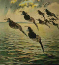 Bogue Hunt Game birds 1917 Scaup Duck A4 Photo Print