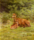 Bonheur RosDoe And Fawn In Thicket A4 Photo Print