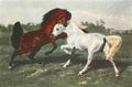 Bonheur Rosa 1822 1899 The Duel Rosa Bonheur 1913 A4 Photo Print