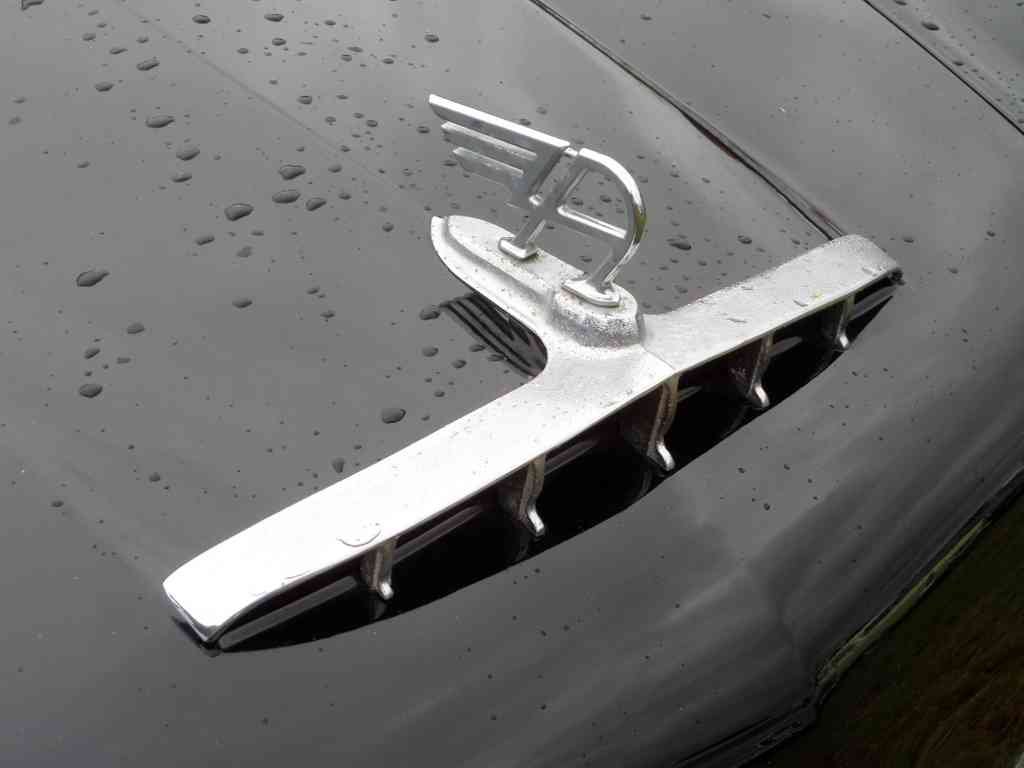 Bonnet Grille Boot 2499 A4 Photo Print