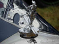 Bonnet Grille Boot 2571 A4 Photo Print
