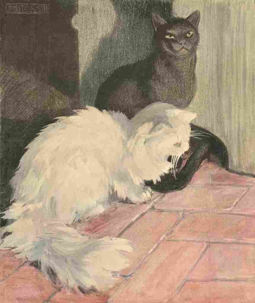 Bonsall Elizabeth 1861 1956 The Book Cat 1903 1 A4 Photo Print