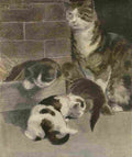 Bonsall Elizabeth 1861 1956 The Book Cat 1903 2 A4 Photo Print