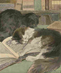 Bonsall Elizabeth 1861 1956 The Book Cat 1903 4 A4 Photo Print