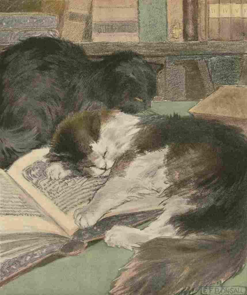 Bonsall Elizabeth 1861 1956 The Book Cat 1903 4 A4 Photo Print