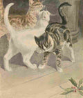 Bonsall Elizabeth 1861 1956 The Book Cat 1903 6 A4 Photo Print