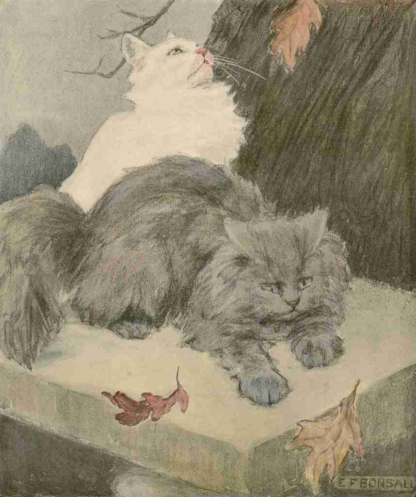 Bonsall Elizabeth Book of the Cat 1903 Autumn leaves A4 Photo Print
