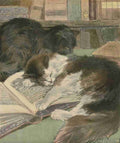 Bonsall Elizabeth Book of the Cat 1903 Cats on book A4 Photo Print