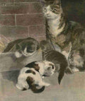 Bonsall Elizabeth Book of the Cat 1903 Kittens A4 Photo Print