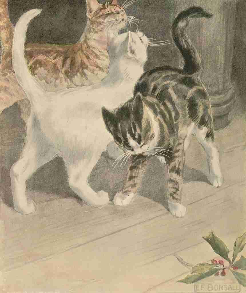 Bonsall Elizabeth Book of the Cat 1903 Ready for dinner A4 Photo Print