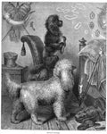 Book of Dogs Illustrations 50 Vintage Illustration A4 Photo Print