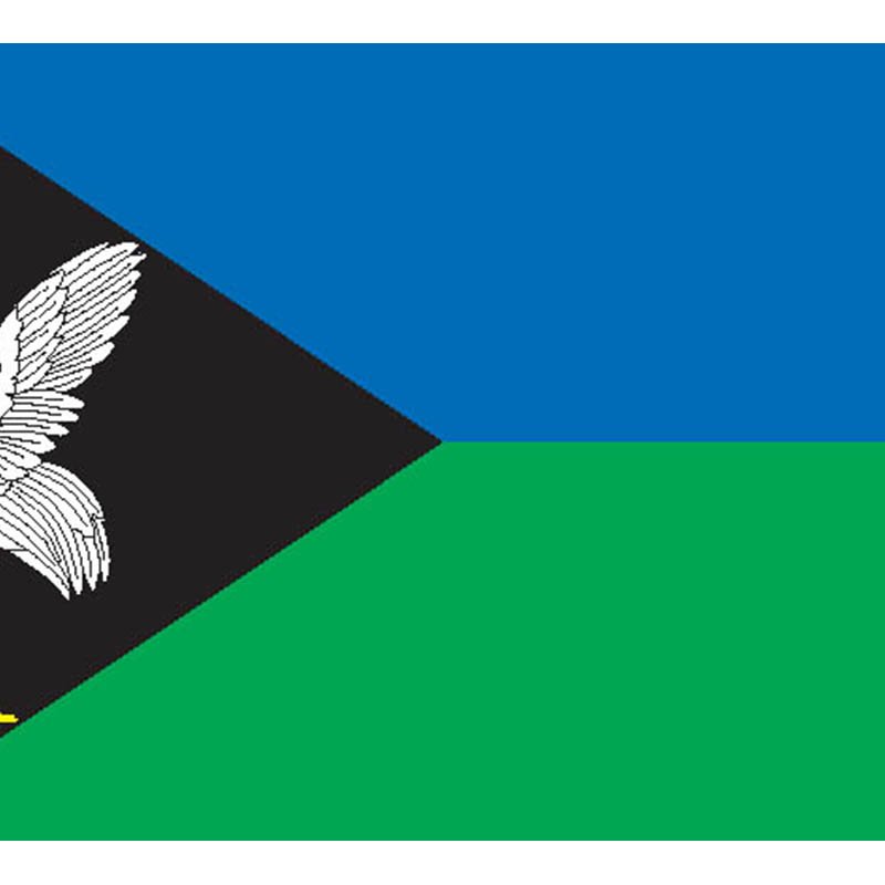 Borzya City Flag N4245 A4 Photo Print
