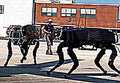 Boston Dynamics Bigdog 2 (2) Military A4 Photo Print