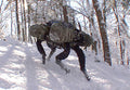Boston Dynamics Bigdog Military A4 Photo Print