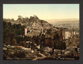 Botanical gardens Tbilisi Vintage A4 Photo Print