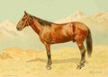 Bounine M Les Races Chevalines 1894 Lesguine A4 Photo Print