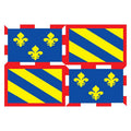 Bourgogne Reg Flag N3145 A4 Photo Print