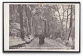 Bournemouth Invalids Walk People On Path In Snow April 25 1908 Vintage A4 Photo Print