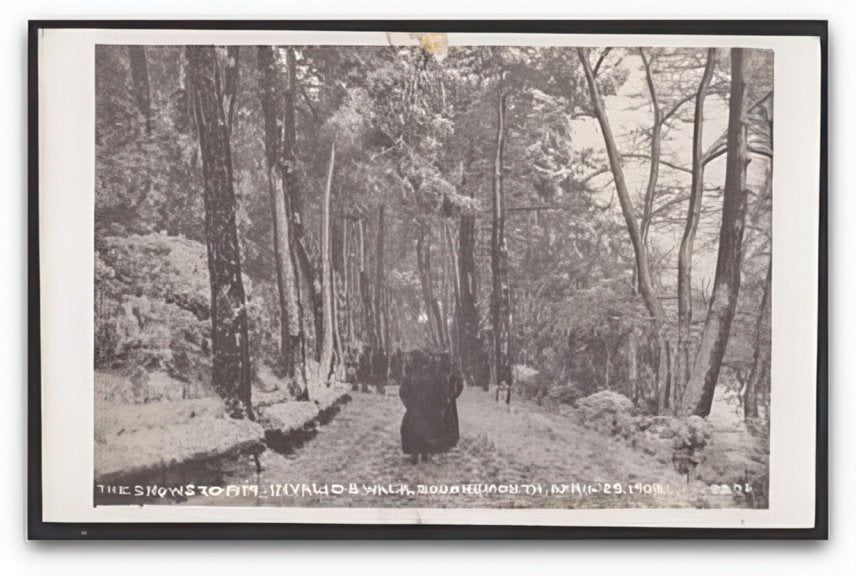 Bournemouth Invalids Walk People On Path In Snow April 25 1908 Vintage A4 Photo Print