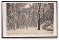 Bournemouth Pleasure Gardens Deep In Snow Blizzard Dec 29 1908 Trees Vintage A4 Photo Print