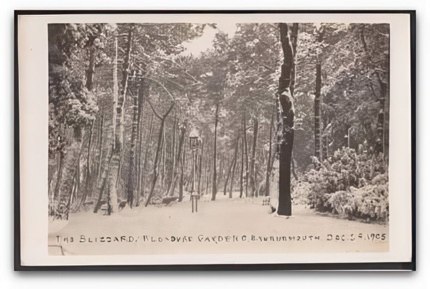 Bournemouth Pleasure Gardens Deep In Snow Blizzard Dec 29 1908 Trees Vintage A4 Photo Print