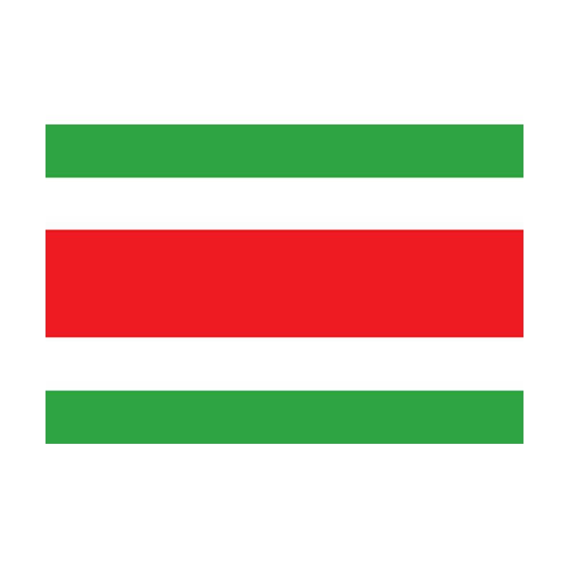 Boyaca Dep Flag N4820 A4 Photo Print