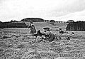 Boys Antitank Rifle 2 (2) Military A4 Photo Print
