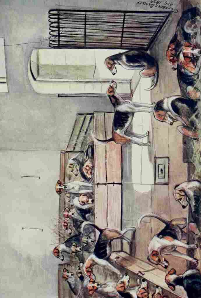 Bradley Cuthbert 1914 On the benches at Belvoir A4 Photo Print