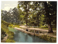 Bradley Woods Newton Abbott Vintage A4 Photo Print