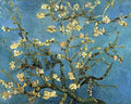 Branches With Almond Blossom 1890 A4 Photo Print