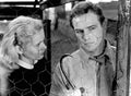Brando Marlon On the Waterfront 7 film star poster A4 Photo Print