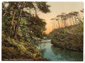 Branksome Chine Bournemouth Vintage A4 Photo Print