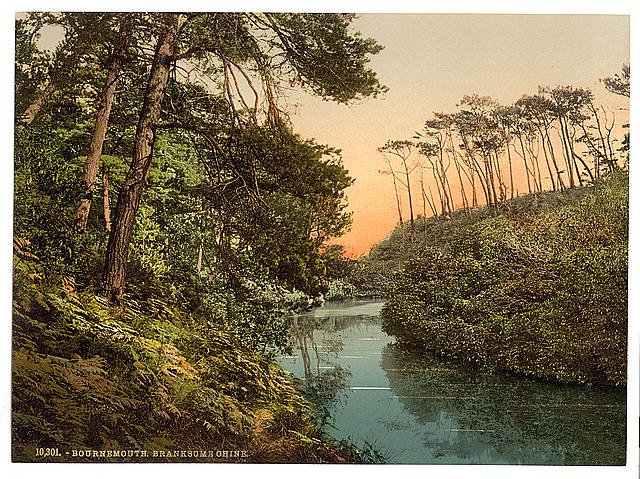 Branksome Chine Bournemouth Vintage A4 Photo Print