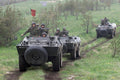 Bravia Chaimite 5 Military A4 Photo Print