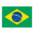 Brazil Flag N1805 A4 Photo Print