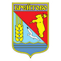 Breitovo Rayon Coat Of Arms N3803 A4 Photo Print
