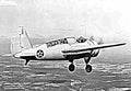 Brewster Xsba Sbn Dive Bomber (2) Military A4 Photo Print