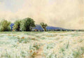 Bricher Alfred Thompson The Daisy Field A4 Photo Print