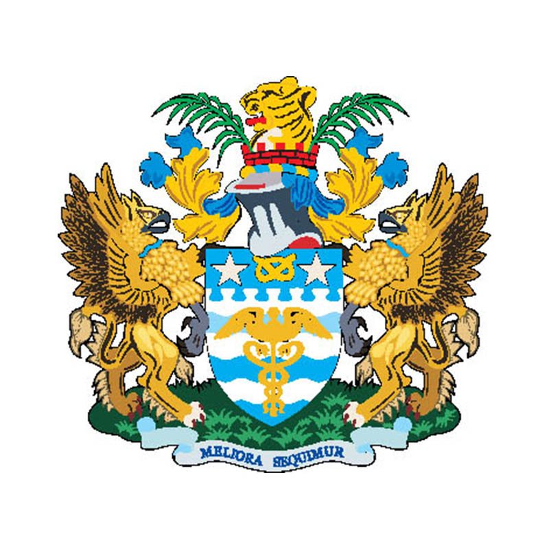 Brisbane City Coat Of Arms N4468 A4 Photo Print