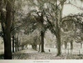 Bristol Bristol Clifton The Promenade Vintage A4 Photo Print