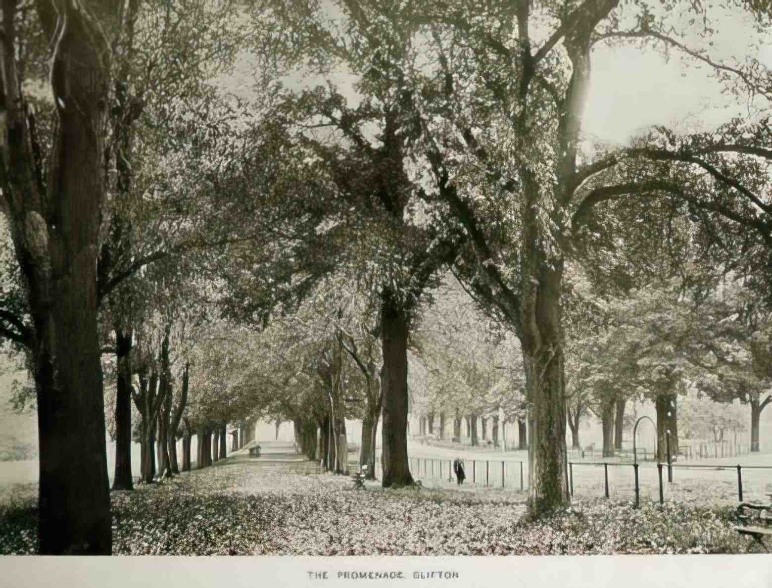 Bristol Bristol Clifton The Promenade Vintage A4 Photo Print