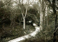 Bristol Bristol Fairyland Vintage A4 Photo Print