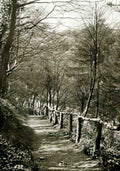 Bristol Bristol Stapleton Glen Vintage A4 Photo Print