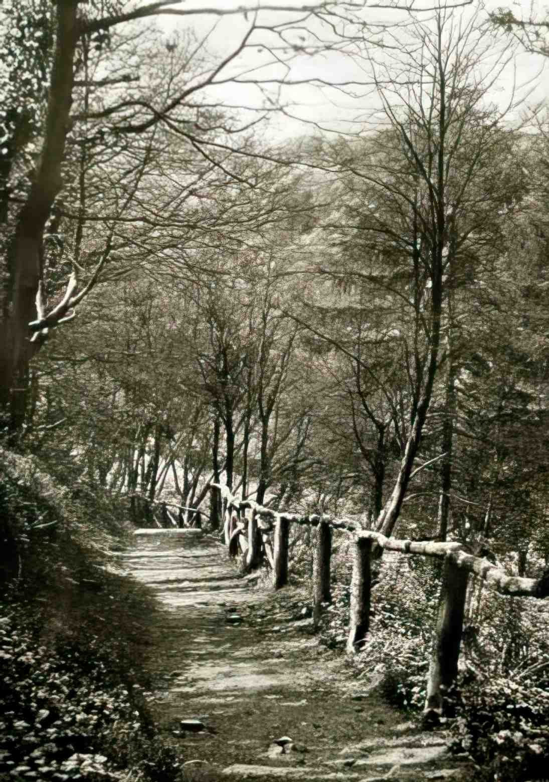 Bristol Bristol Stapleton Glen Vintage A4 Photo Print