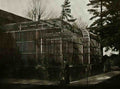 Bristol Bristol The Lions in Bristol Zoo 1230pix Vintage A4 Photo Print