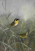 Brooks Bird Lore 1922 Maryland Yellow throat A4 Photo Print