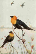 Brooks Bird Lore 1922 Yellow headed Blackbird A4 Photo Print