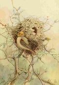 Brooks Birds of California 1923 Verdin A4 Photo Print