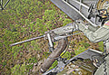 Browning M2 Heavy Machine Gun 8 (2) Military A4 Photo Print